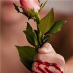 带刺的玫瑰图片流血头像