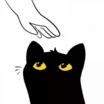 手绘猫猫黑白情侣头像