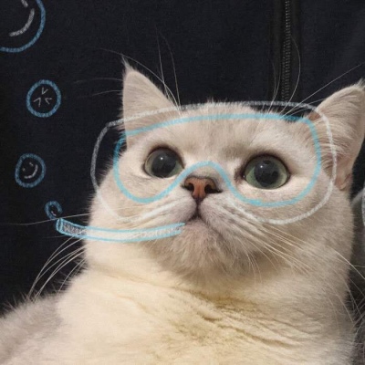 微信猫猫头像